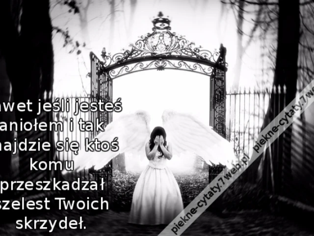 Nawet jeśli jesteś aniołem i tak znajdzie się ktoś komu przeszkadza szelest Twoich skrzydeł.