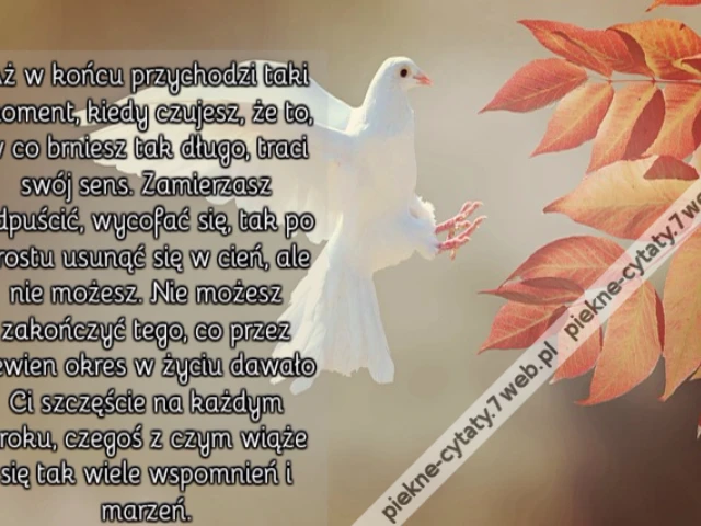 Aż w końcu przychodzi taki moment, kiedy czujesz, że to, w co brniesz tak długo, traci swój sens. Zamierzasz odpuścić, wycofać się, tak po prostu usunąć się w cień, ale nie możesz. Nie możesz zakończyć tego, co przez pewien okres w życiu dawało Ci szczęśc
