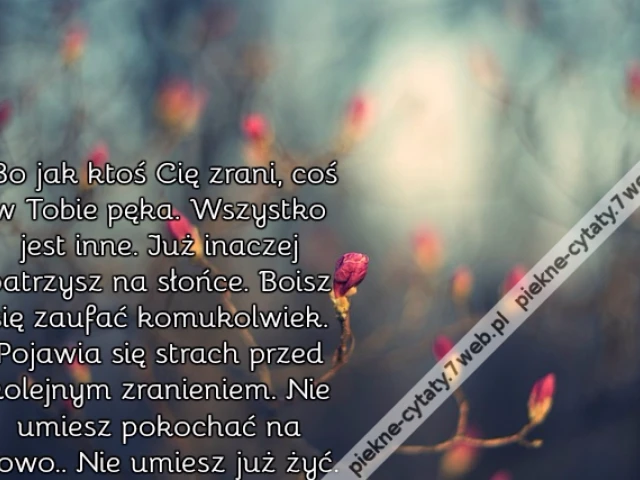 Bo jak ktoś Cię zrani, coś w Tobie pęka. Wszystko jest inne. Już inaczej patrzysz na słońce. Boisz się zaufać komukolwiek. Pojawia się strach przed kolejnym zranieniem. Nie umiesz pokochać na nowo.. Nie umiesz już żyć.