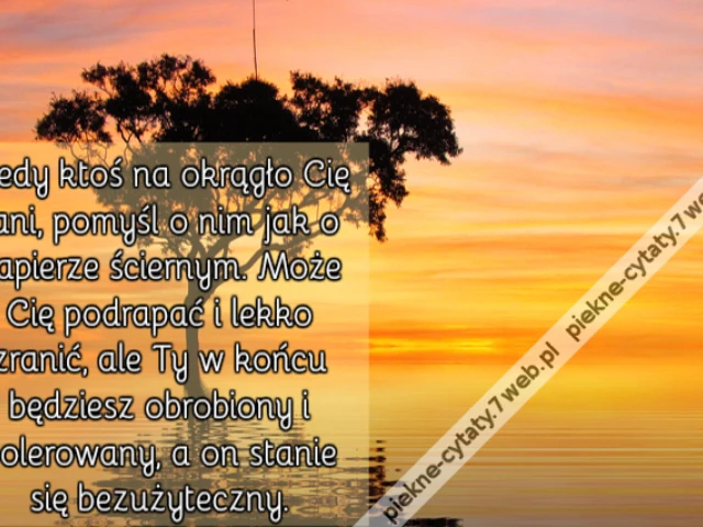 Kiedy ktoś na okrągło Cię rani, pomyśl o nim jak o papierze ściernym. Może Cię podrapać i lekko zranić, ale Ty w końcu będziesz obrobiony i polerowany, a on stanie się bezużyteczny.