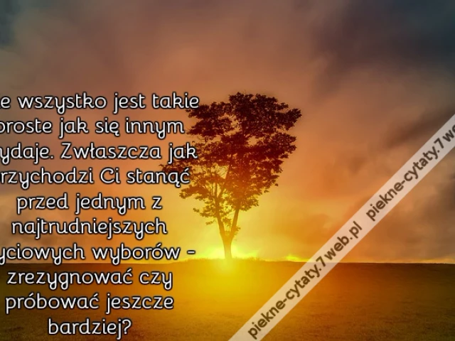 Nie wszystko jest takie proste jak się innym wydaje. Zwłaszcza jak przychodzi Ci stanąć przed jednym z najtrudniejszych życiowych wyborów - zrezygnować czy próbować jeszcze bardziej?