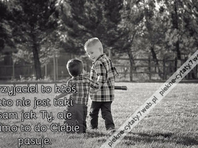 Przyjaciel to ktoś, kto nie jest taki sam jak Ty, ale mimo to do Ciebie pasuje.
