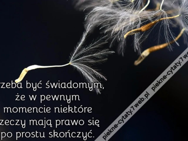 Trzeba być świadomym, że w pewnym momencie niektóre rzeczy mają prawo się po prostu skończyć.