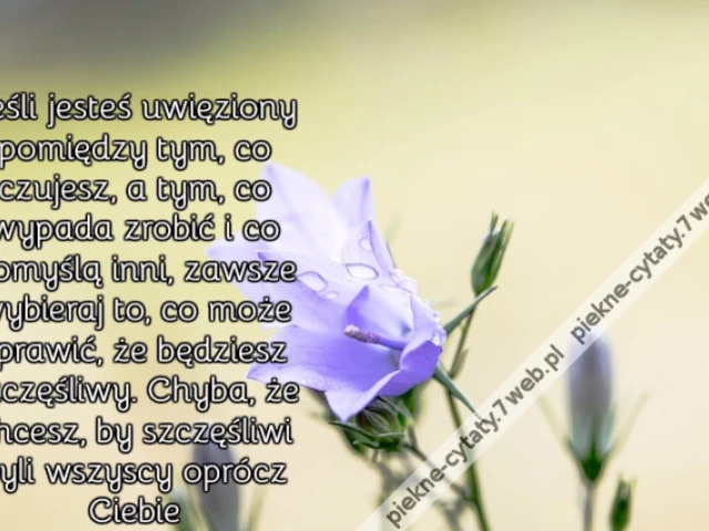 Jeśli jesteś uwięziony pomiędzy tym, co czujesz, a tym, co wypada zrobić i co pomyślą inni, zawsze wybieraj to, co może sprawić, że będziesz szczęśliwy. Chyba, że chcesz, by szczęśliwi byli wszyscy oprócz Ciebie