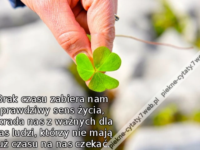 Brak czasu zabiera nam prawdziwy sens życia, okrada nas z ważnych dla nas ludzi, którzy nie mają już czasu na nas czekać.