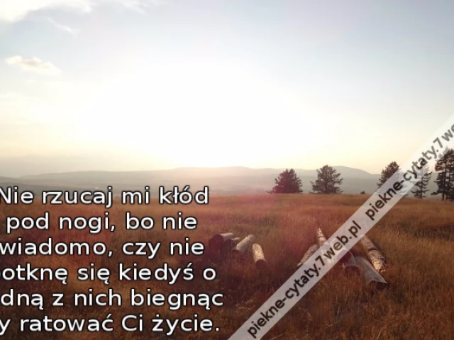 Nie rzucaj mi kłód pod nogi, bo nie wiadomo, czy nie potknę się kiedyś o jedną z nich biegnąc by ratować Ci życie.