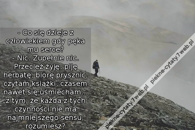 - Co się dzieje z człowiekiem gdy pęka mu serce? - Nic. Zupełnie nic. Przecież żyję, piję herbatę, biorę prysznic, czytam książki, czasem nawet się uśmiecham... z tym, że każda z tych czynności nie ma najmniejszego sensu, rozumiesz? - Tak