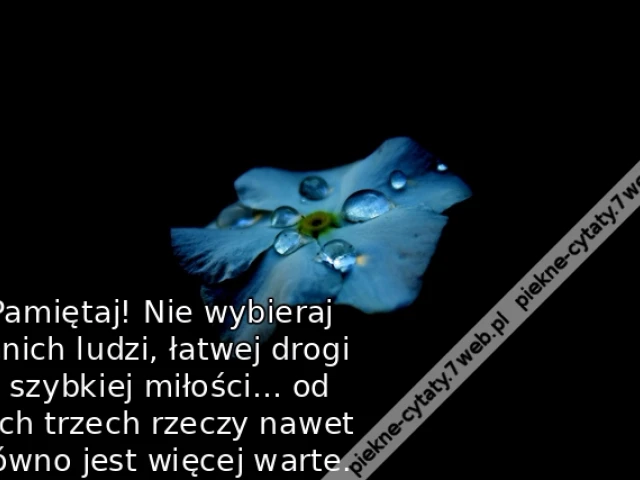 Pamiętaj! Nie wybieraj tanich ludzi, łatwej drogi i szybkiej miłości… od tych trzech rzeczy nawet gówno jest więcej warte.