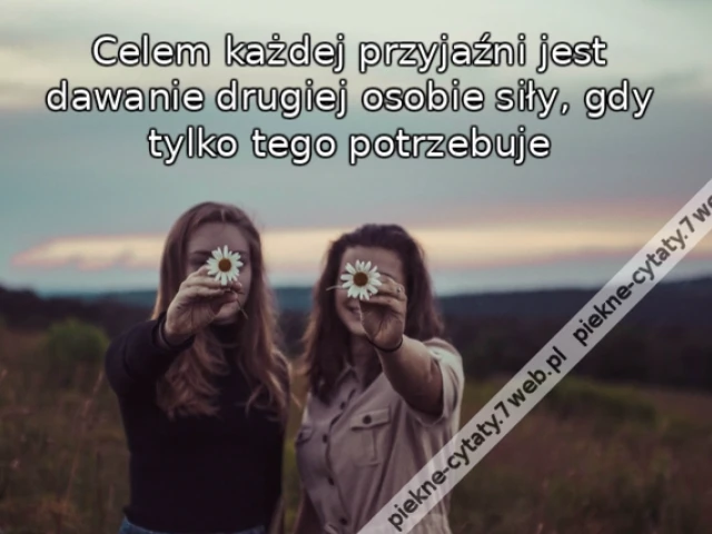 Celem każdej przyjaźni jest dawanie drugiej osobie siły, gdy tylko tego potrzebuje