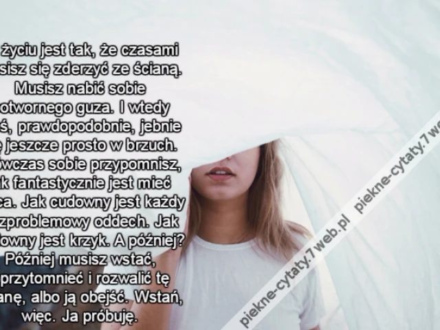 W życiu jest tak, że czasami musisz się zderzyć ze ścianą. Musisz nabić sobie potwornego guza. I wtedy ktoś, prawdopodobnie, jebnie cię jeszcze prosto w brzuch. Wówczas sobie przypomnisz, jak fantastycznie jest mieć płuca. Jak cudowny jest każdy bezproble