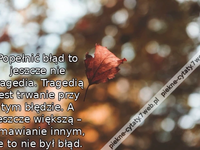 Popełnić błąd to jeszcze nie tragedia. Tragedią jest trwanie przy tym błędzie. A jeszcze większą – wmawianie innym, że to nie był błąd.