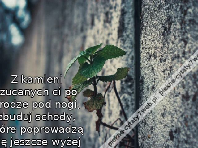 Z kamieni rzucanych ci po drodze pod nogi, zbuduj schody, które poprowadzą cię jeszcze wyżej