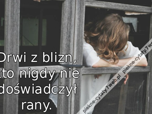 Drwi z blizn, kto nigdy nie doświadczył rany.