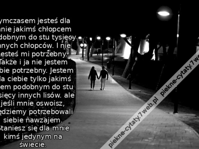 Tymczasem jesteś dla mnie jakimś chłopcem podobnym do stu tysięcy innych chłopców. I nie jesteś mi potrzebny. Także i ja nie jestem tobie potrzebny. Jestem dla ciebie tylko jakimś lisem podobnym do stu tysięcy innych lisów. ale jeśli mnie oswoisz, będziem