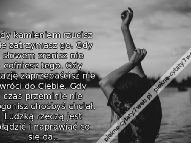 Gdy kamieniem rzucisz nie zatrzymasz go. Gdy słowem zranisz nie cofniesz tego. Gdy okazję zaprzepaścisz nie wróci do Ciebie. Gdy czas przeminie nie dogonisz choćbyś chciał. Ludzką rzeczą jest błądzić i naprawiać co się da..