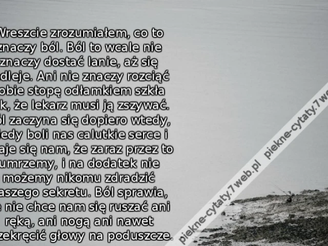 Wreszcie zrozumiałem, co to znaczy ból. Ból to wcale nie znaczy dostać lanie, aż się mdleje. Ani nie znaczy rozciąć sobie stopę odłamkiem szkła tak, że lekarz musi ją zszywać. Ból zaczyna się dopiero wtedy, kiedy boli nas calutkie serce i zdaje się nam, ż