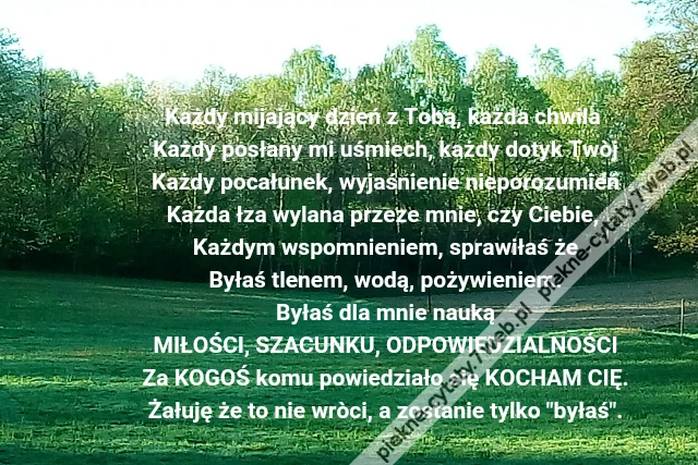 Każdy mijający dzień z Tobą, każda chwila \r\nKażdy posłany mi uśmiech, każdy dotyk Twòj\r\nKażdy pocałunek, wyjaśnienie nieporozumień\r\nKażda łza wylana przeze mnie, czy Ciebie, \r\nKażdym wspomnieniem, sprawiłaś że\r\nByłaś tlenem, wodą, pożywieniem.\r\nByłaś dla mnie nauką\r\nMIŁOŚCI, SZACUNKU, ODPOWIEDZIALNOŚCI\r\nZa KOGOŚ komu powiedziało się KOCHAM CIĘ.\r\nŻałuję że to nie wròci, a zostanie tylko &quot;byłaś&quot;.