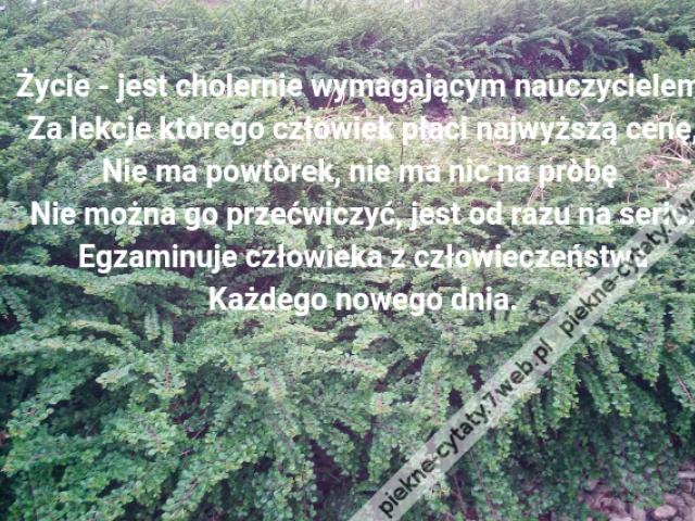 Życie - jest cholernie wymagającym nauczycielem \r\nZa lekcje ktòrego człowiek płaci najwyższą cenę,\r\nNie ma powtòrek, nie ma nic na pròbę \r\nNie można go przećwiczyć, jest od razu na serio.\r\nEgzaminuje człowieka z człowieczeństwa\r\nKażdego nowego dnia.