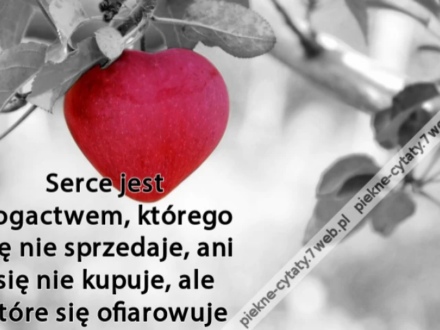 Serce jest bogactwem, którego się nie sprzedaje, ani się nie kupuje, ale które się ofiarowuje