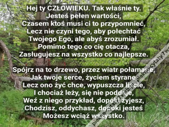 .