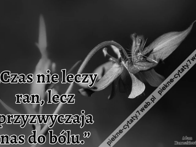 „Czas nie leczy ran, lecz przyzwyczaja nas do bólu.”
