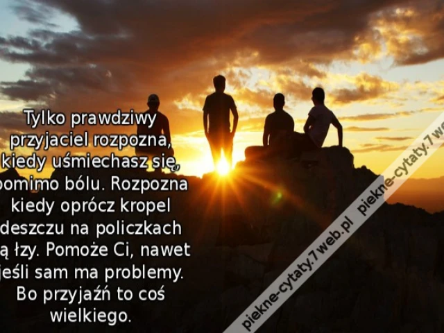 Tylko prawdziwy przyjaciel rozpozna, kiedy uśmiechasz się, pomimo bólu. Rozpozna kiedy oprócz kropel deszczu na policzkach są łzy. Pomoże Ci, nawet jeśli sam ma problemy. Bo przyjaźń to coś wielkiego.
