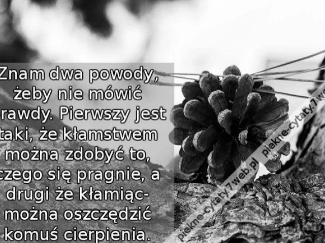 Znam dwa powody, żeby nie mówić prawdy. Pierwszy jest taki, że kłamstwem można zdobyć to, czego się pragnie, a drugi że kłamiąc- można oszczędzić komuś cierpienia.