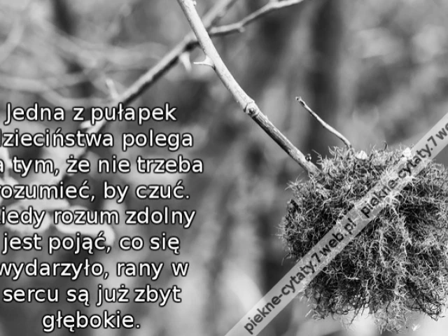 Jedna z pułapek dzieciństwa polega na tym, że nie trzeba rozumieć, by czuć. Kiedy rozum zdolny jest pojąć, co się wydarzyło, rany w sercu są już zbyt głębokie.