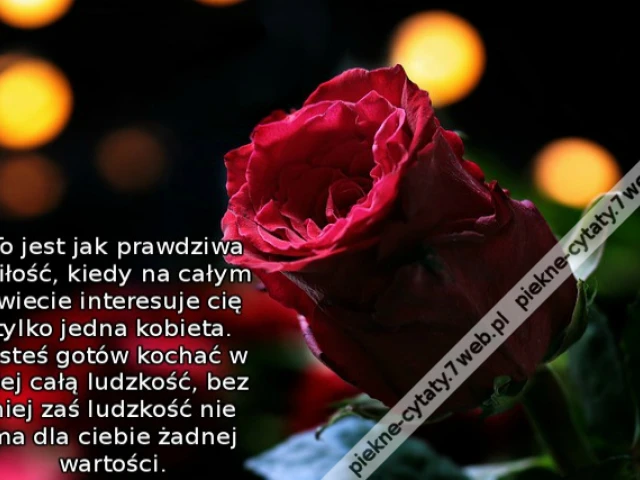 To jest jak prawdziwa miłość, kiedy na całym świecie interesuje cię tylko jedna kobieta. Jesteś gotów kochać w niej całą ludzkość, bez niej zaś ludzkość nie ma dla ciebie żadnej wartości.