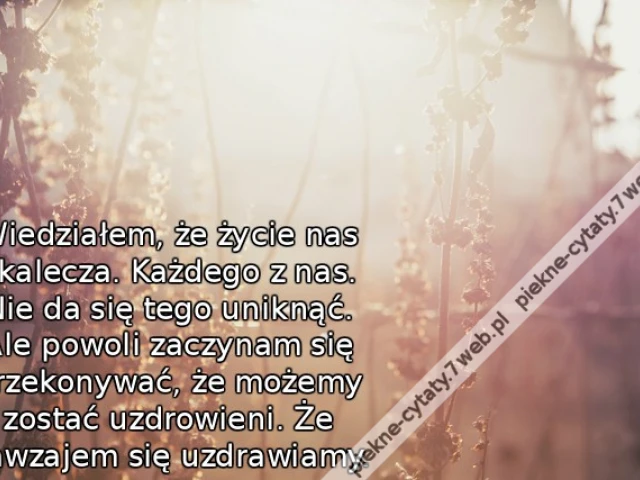 Wiedziałem, że życie nas okalecza. Każdego z nas. Nie da się tego uniknąć. Ale powoli zaczynam się przekonywać, że możemy zostać uzdrowieni. Że nawzajem się uzdrawiamy.