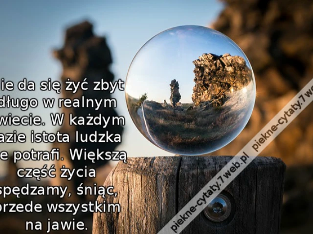 Nie da się żyć zbyt długo w realnym świecie. W każdym razie istota ludzka nie potrafi. Większą część życia spędzamy, śniąc, przede wszystkim na jawie.