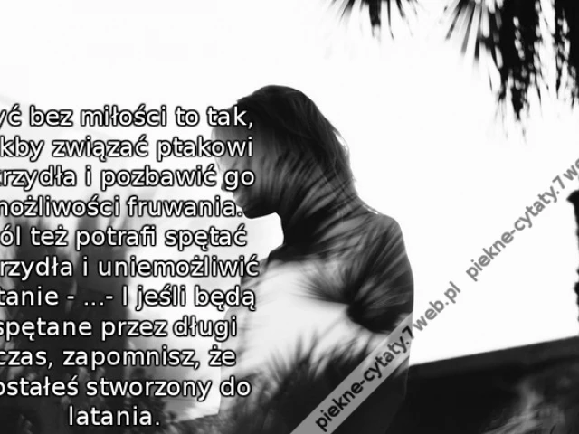 Żyć bez miłości to tak, jakby związać ptakowi skrzydła i pozbawić go możliwości fruwania. Ból też potrafi spętać skrzydła i uniemożliwić latanie - ...- I jeśli będą spętane przez długi czas, zapomnisz, że zostałeś stworzony do latania.