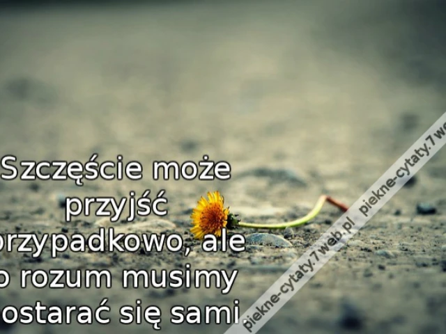 Szczęście może przyjść przypadkowo, ale o rozum musimy postarać się sami.