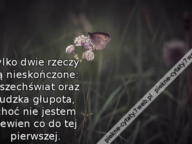 Tylko dwie rzeczy są nieskończone: wszechświat oraz ludzka głupota, choć nie jestem pewien co do tej pierwszej.