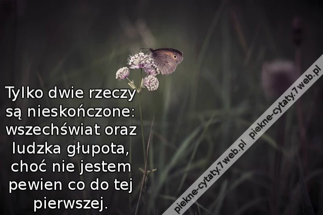 Tylko dwie rzeczy są nieskończone: wszechświat oraz ludzka głupota, choć nie jestem pewien co do tej pierwszej.