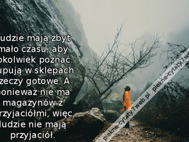 Ludzie mają zbyt mało czasu, aby cokolwiek poznać. Kupują w sklepach rzeczy gotowe. A ponieważ nie ma magazynów z przyjaciółmi, więc ludzie nie mają przyjaciół.