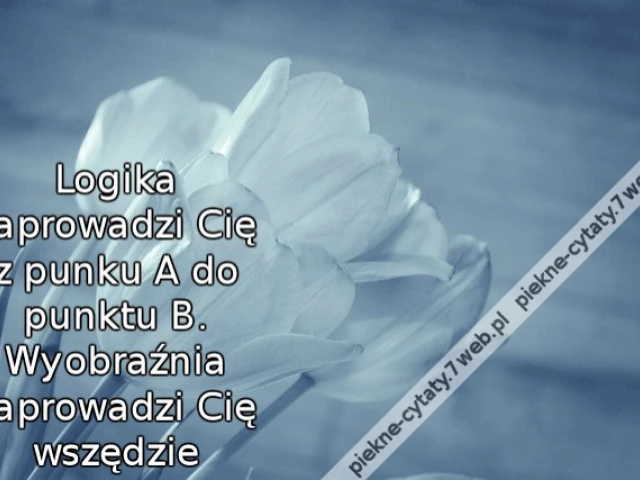 Logika zaprowadzi Cię z punku A do punktu B. Wyobraźnia zaprowadzi Cię wszędzie