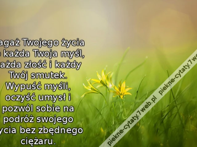 Bagaż Twojego życia to każda Twoja myśl, każda złość i każdy Twój smutek. Wypuść myśli, oczyść umysł i pozwól sobie na podróż swojego życia bez zbędnego ciężaru.