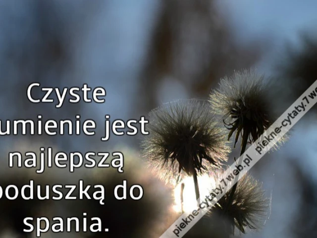 Czyste sumienie jest najlepszą poduszką do spania.