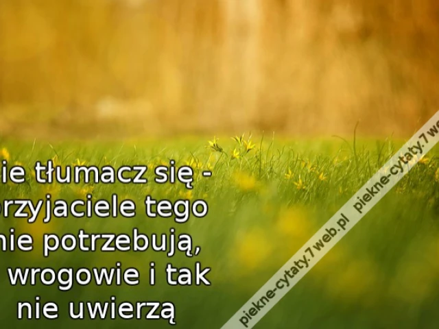 Nie tłumacz się - przyjaciele tego nie potrzebują, a wrogowie i tak nie uwierzą