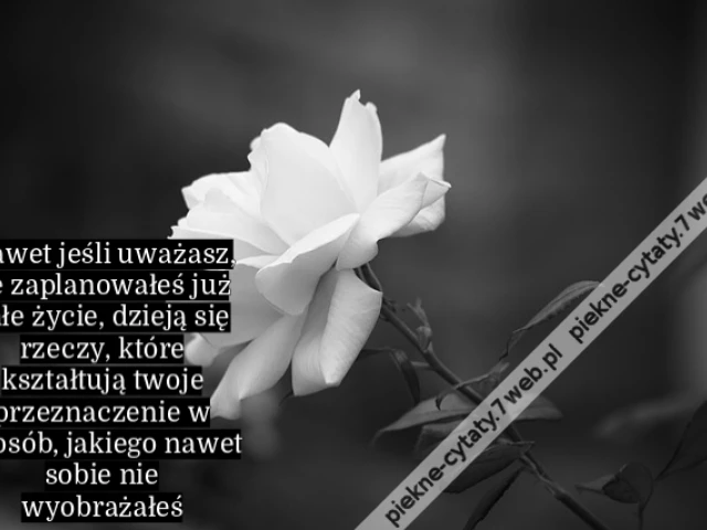 Nawet jeśli uważasz, że zaplanowałeś już całe życie, dzieją się rzeczy, które kształtują twoje przeznaczenie w sposób, jakiego nawet sobie nie wyobrażałeś