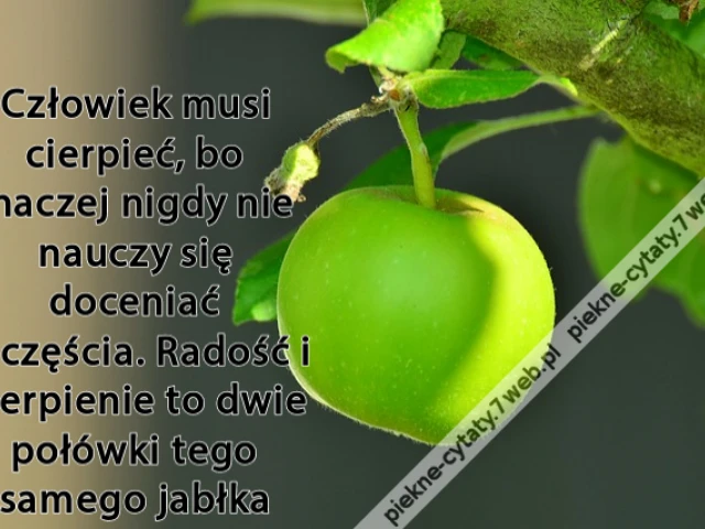 Człowiek musi cierpieć, bo inaczej nigdy nie nauczy się doceniać szczęścia. Radość i cierpienie to dwie połówki tego samego jabłka