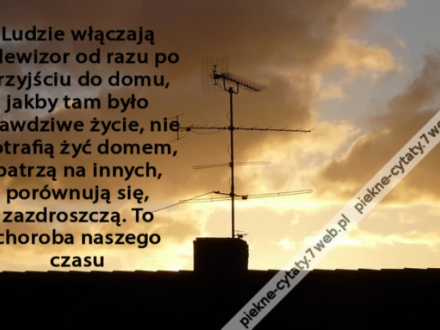 Ludzie włączają telewizor od razu po przyjściu do domu, jakby tam było prawdziwe życie, nie potrafią żyć domem, patrzą na innych, porównują się, zazdroszczą. To choroba naszego czasu