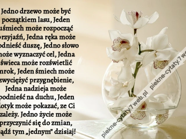 Jedno drzewo może być początkiem lasu, Jeden uśmiech może rozpocząć przyjaźń, Jedna ręka może podnieść duszę, Jedno słowo może wyznaczyć cel, Jedna świeca może rozświetlić mrok, Jeden śmiech może zwyciężyć przygnębienie, Jedna nadzieja może podnieść na du