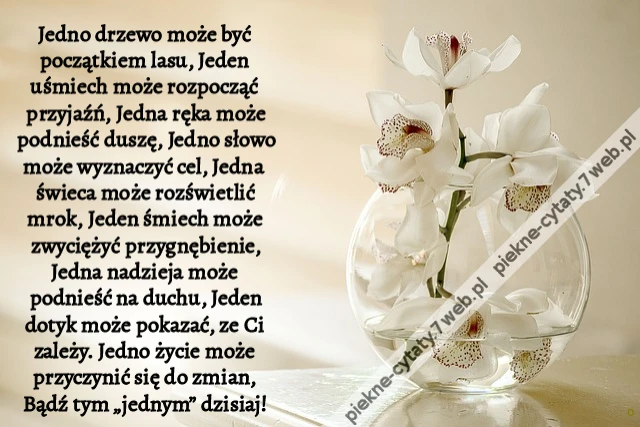 Jedno drzewo może być początkiem lasu, Jeden uśmiech może rozpocząć przyjaźń, Jedna ręka może podnieść duszę, Jedno słowo może wyznaczyć cel, Jedna świeca może rozświetlić mrok, Jeden śmiech może zwyciężyć przygnębienie, Jedna nadzieja może podnieść na du