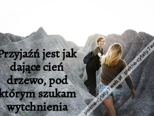 Przyjaźń jest jak dające cień drzewo, pod którym szukam wytchnienia