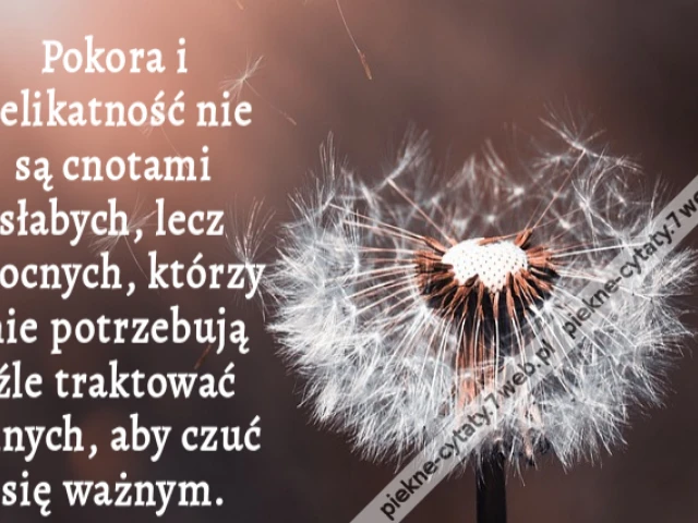 Pokora i delikatność nie są cnotami słabych, lecz mocnych, którzy nie potrzebują źle traktować innych, aby czuć się ważnym.