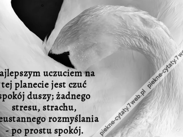Najlepszym uczuciem na tej planecie jest czuć spokój duszy; żadnego stresu, strachu, nieustannego rozmyślania - po prostu spokój.
