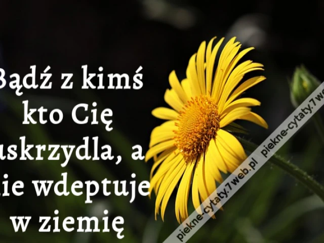 Bądź z kimś kto Cię uskrzydla, a nie wdeptuje w ziemię