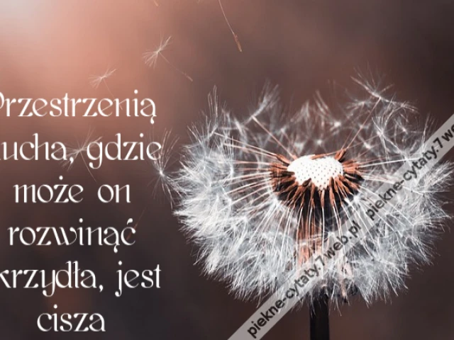 Przestrzenią ducha, gdzie może on rozwinąć skrzydła, jest cisza